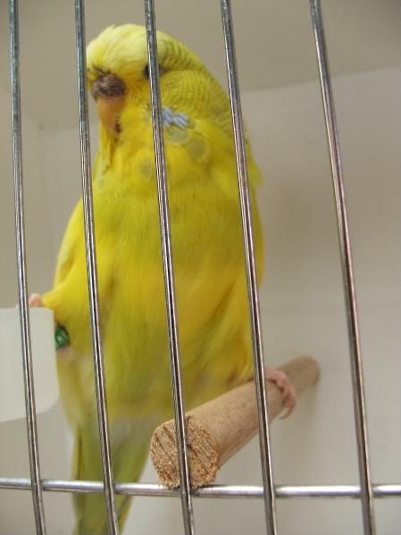 DSCF3138.jpg