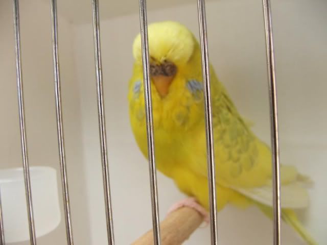 DSCF3143.jpg