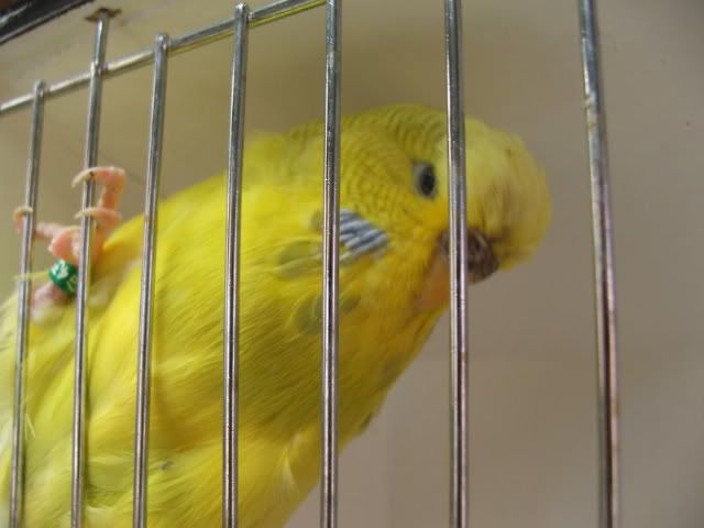 DSCF3145.jpg