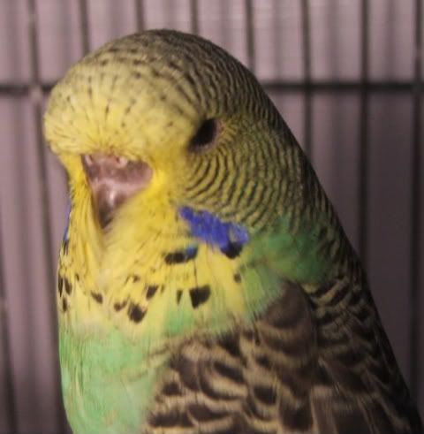 DSCF3207.jpg
