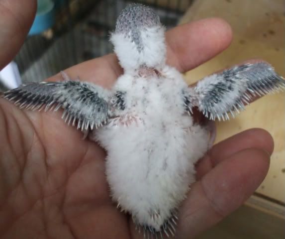 DSCF5291.jpg