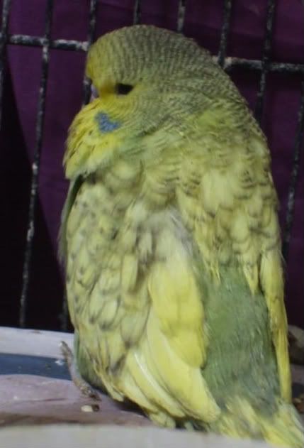 DSCF5307.jpg