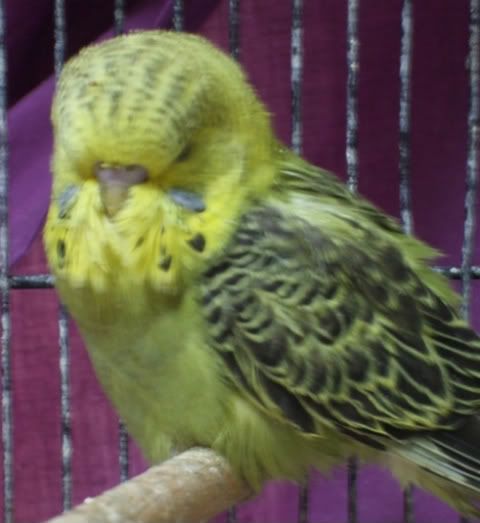 DSCF5311.jpg