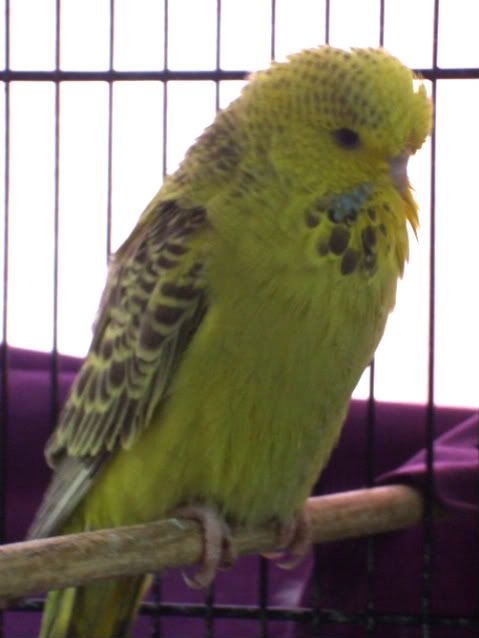 DSCF5324.jpg