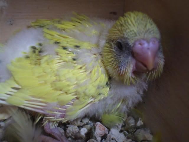 DSCF5716.jpg