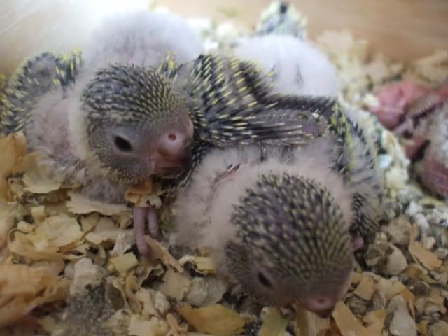 DSCF5734.jpg