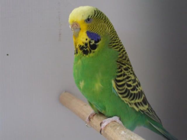 DSCF5738.jpg