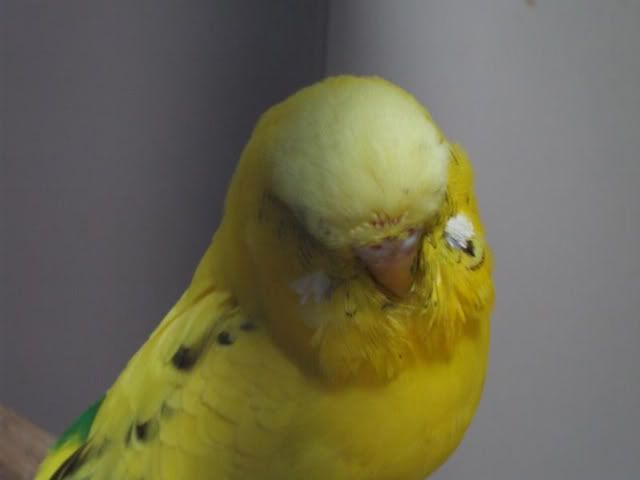DSCF5739.jpg