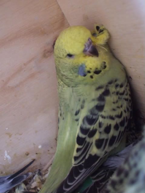 DSCF5765.jpg
