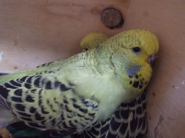 DSCF5767.jpg