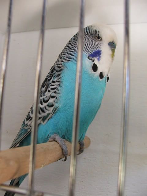 c9fe327d.jpg