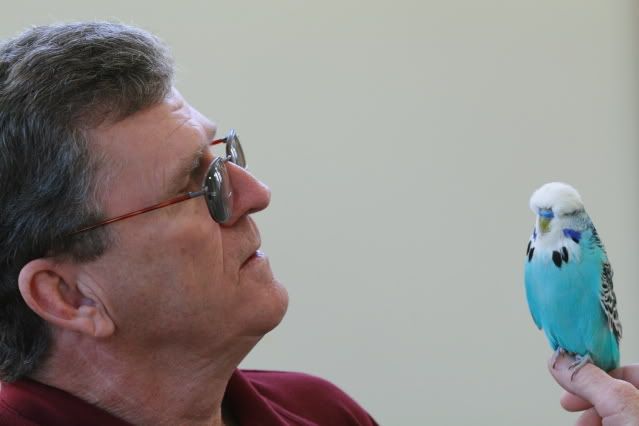 BobSmith049.jpg
