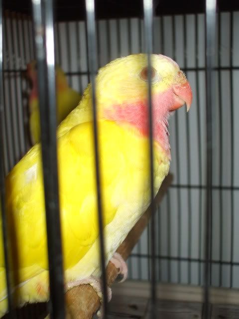 DSCF0128.jpg