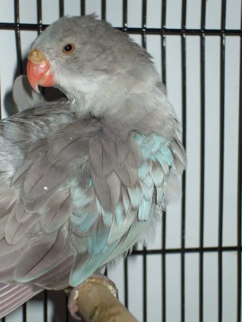 DSCF0138.jpg