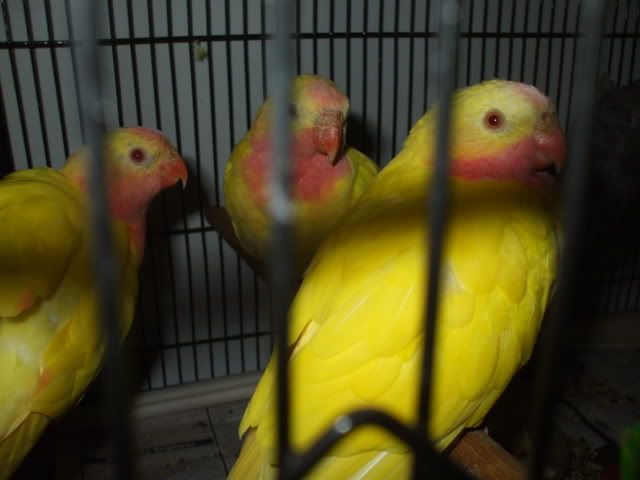 DSCF0139.jpg