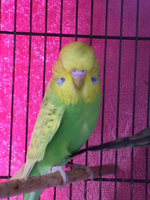 DSCF0324.jpg