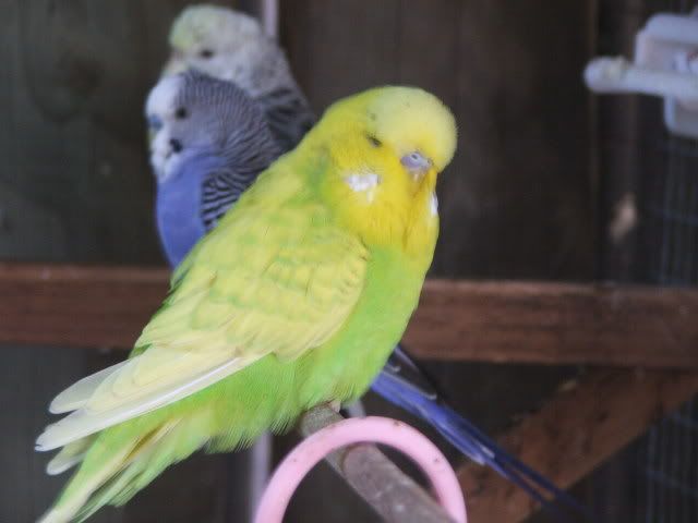 DSCF0379.jpg
