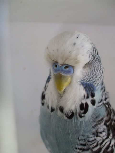 DSCF0441.jpg