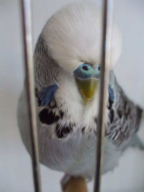 DSCF0484.jpg