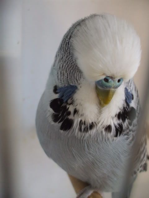 DSCF0493.jpg