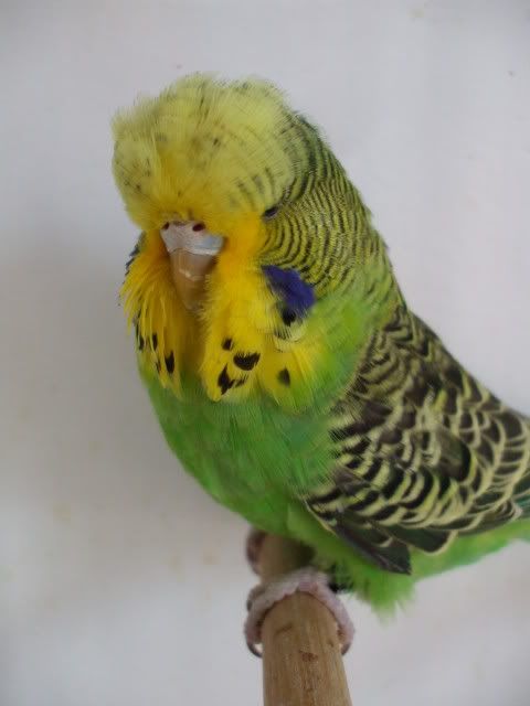 DSCF0510.jpg