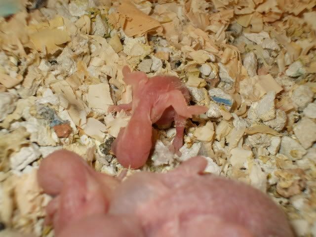 DSCF0569.jpg