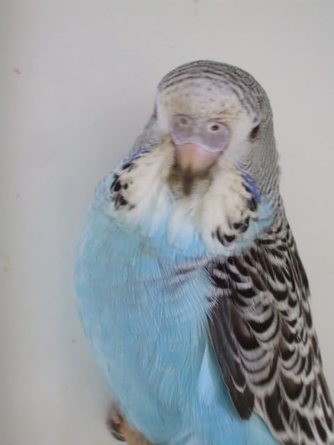 DSCF0595.jpg