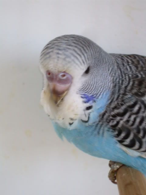 DSCF0604.jpg
