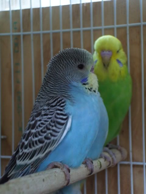DSCF0617.jpg