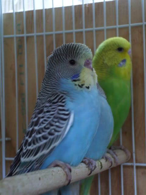 DSCF0618.jpg