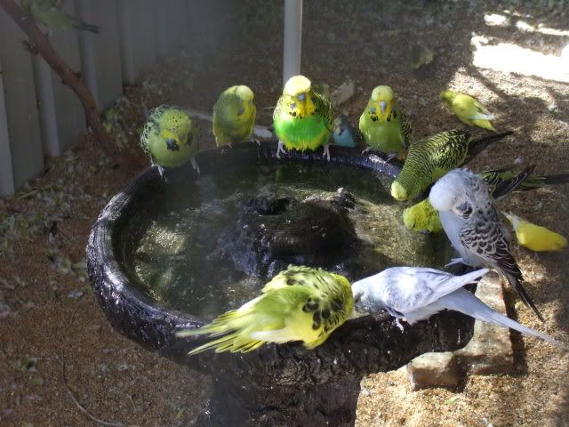 DSCF0713.jpg