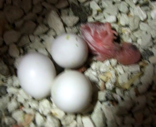 DSCF4973.jpg