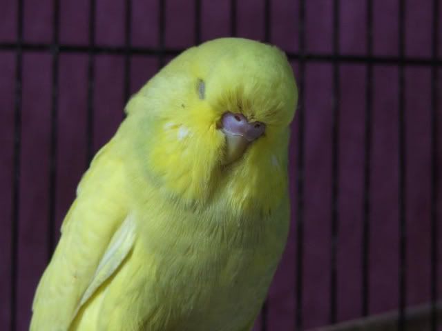 DSCF5103.jpg