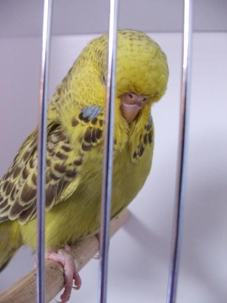 DSCF5124.jpg