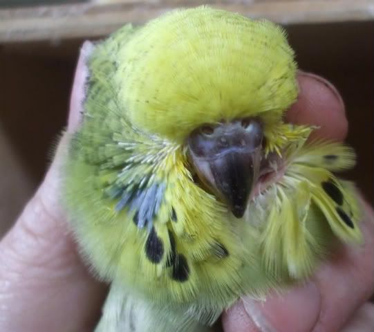 DSCF5468.jpg