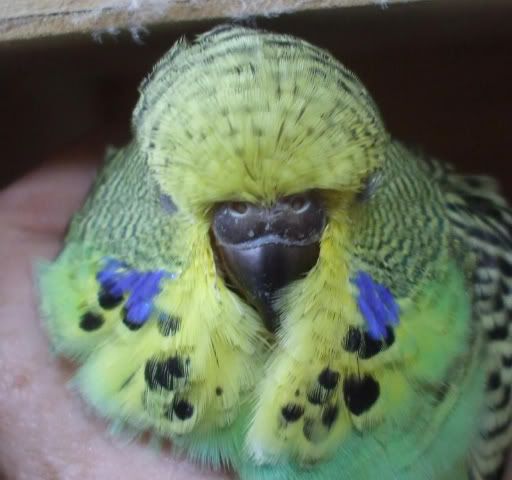 DSCF5470.jpg
