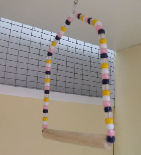 DSCF5475.jpg