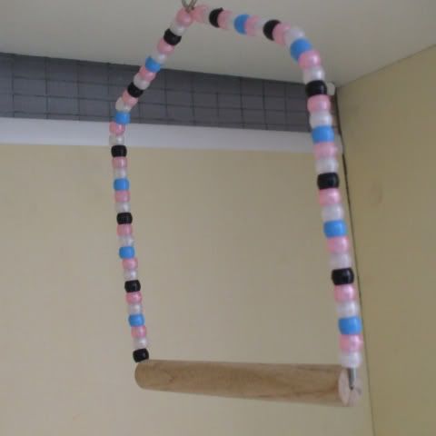 DSCF5476.jpg