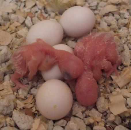 DSCF5498.jpg