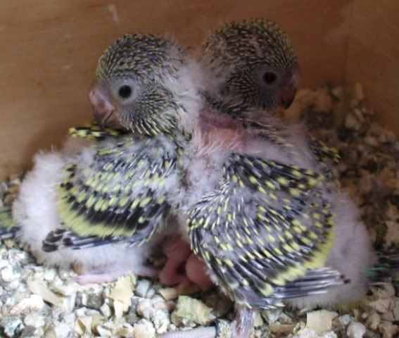 DSCF5781.jpg