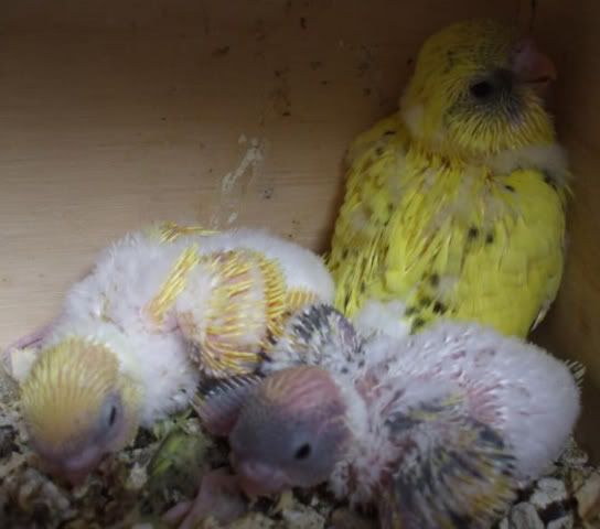 DSCF5788.jpg