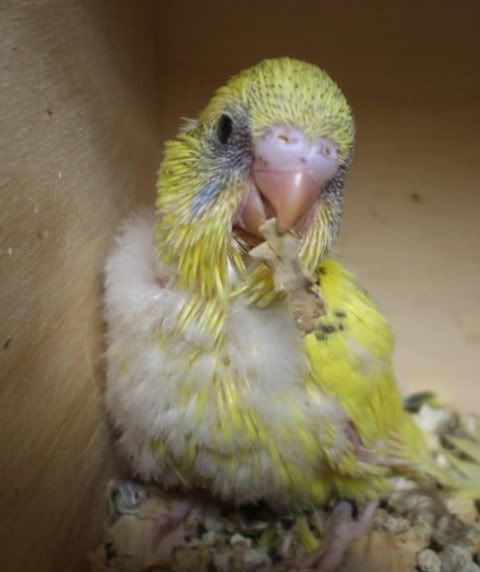 DSCF5792.jpg