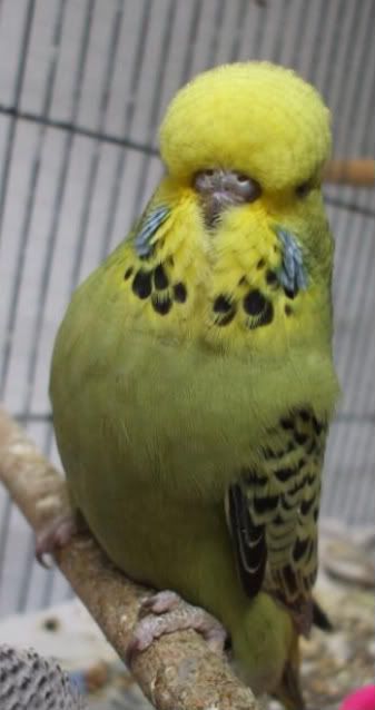 DSCF5798.jpg