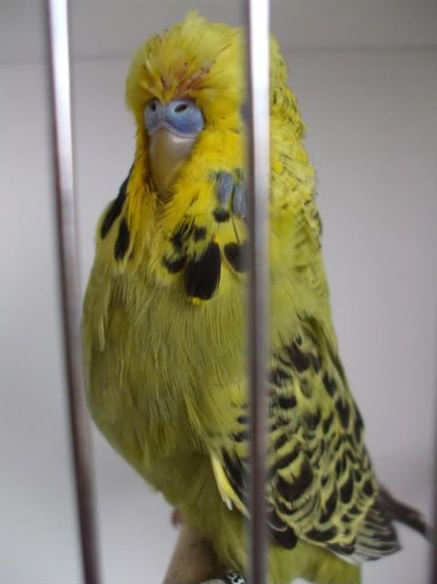 DSCF5806.jpg
