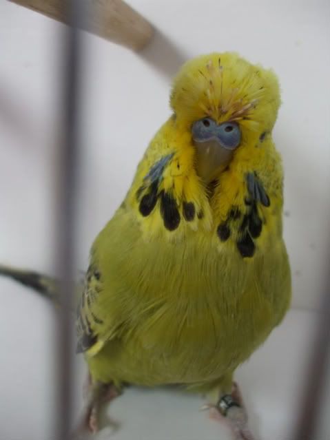 DSCF5809.jpg