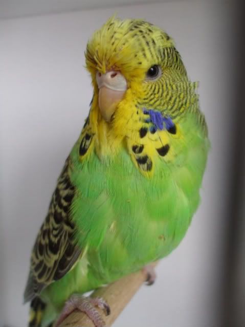 DSCF5817.jpg