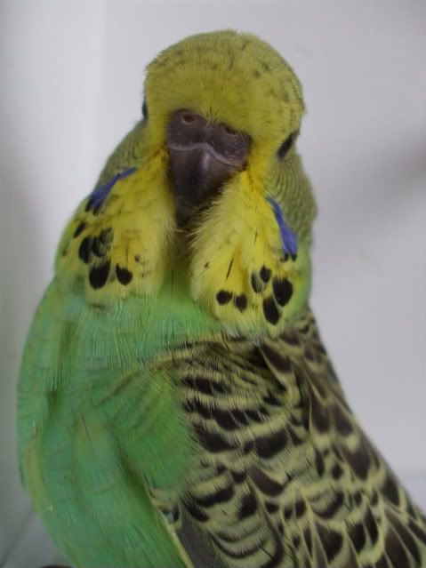 DSCF5835.jpg