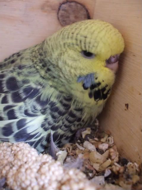 DSCF5839.jpg