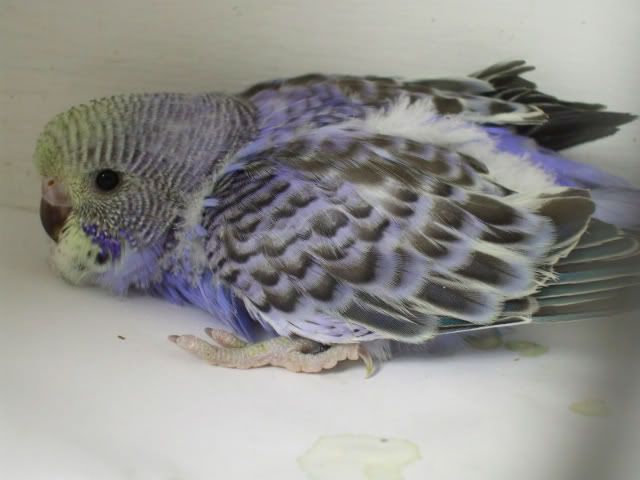 DSCF5889.jpg