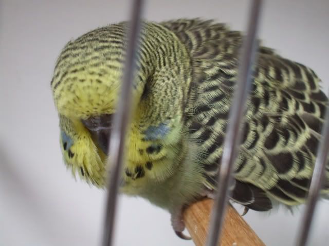 DSCF5892.jpg